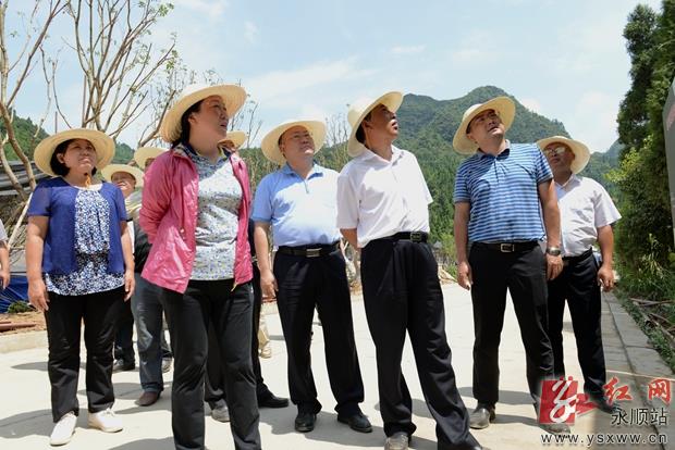 郭建群一行深入永顺调研