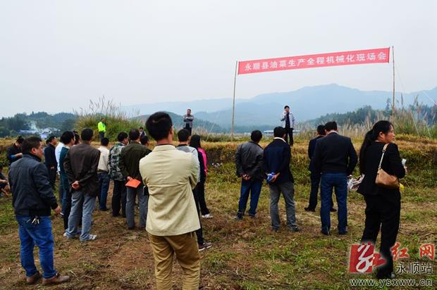 永顺县在万坪镇召开油菜生产机械化现场会